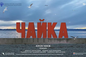 Чайка